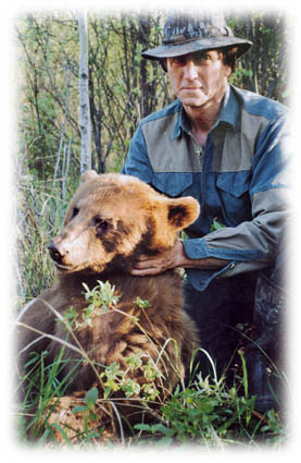 Photo of Cinnamon Bear