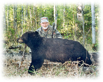 Another hugh black bear